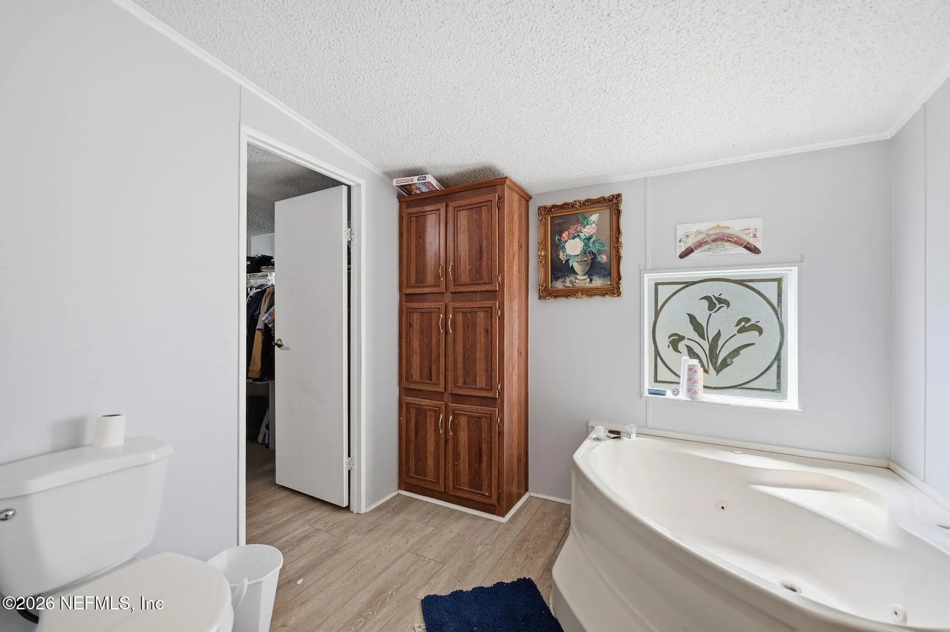 2689 Silver Creek Drive Green Cove Springs FL 32043