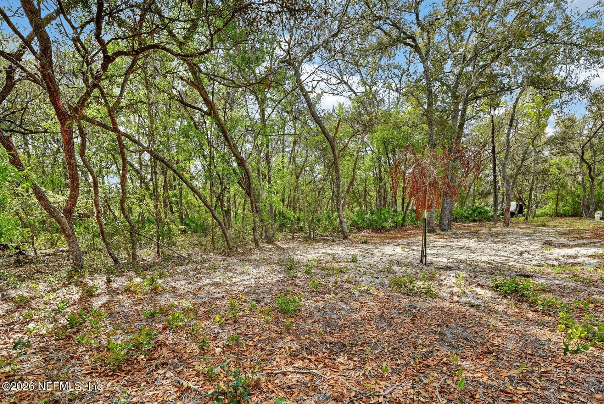 112 Palmer Drive Interlachen FL 32148
