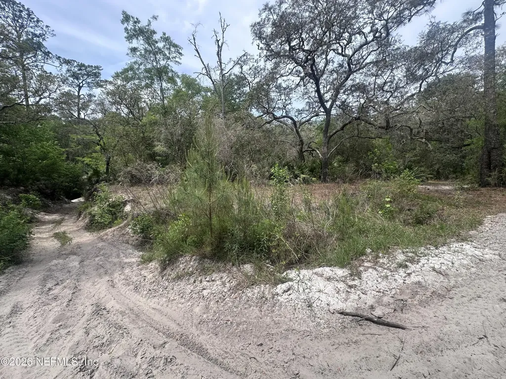 000 Black Creek Drive Middleburg FL 32068