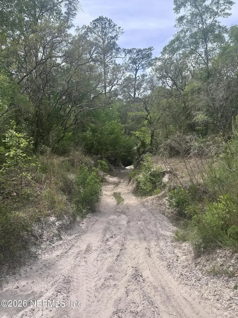 000 Black Creek Drive Middleburg FL 32068