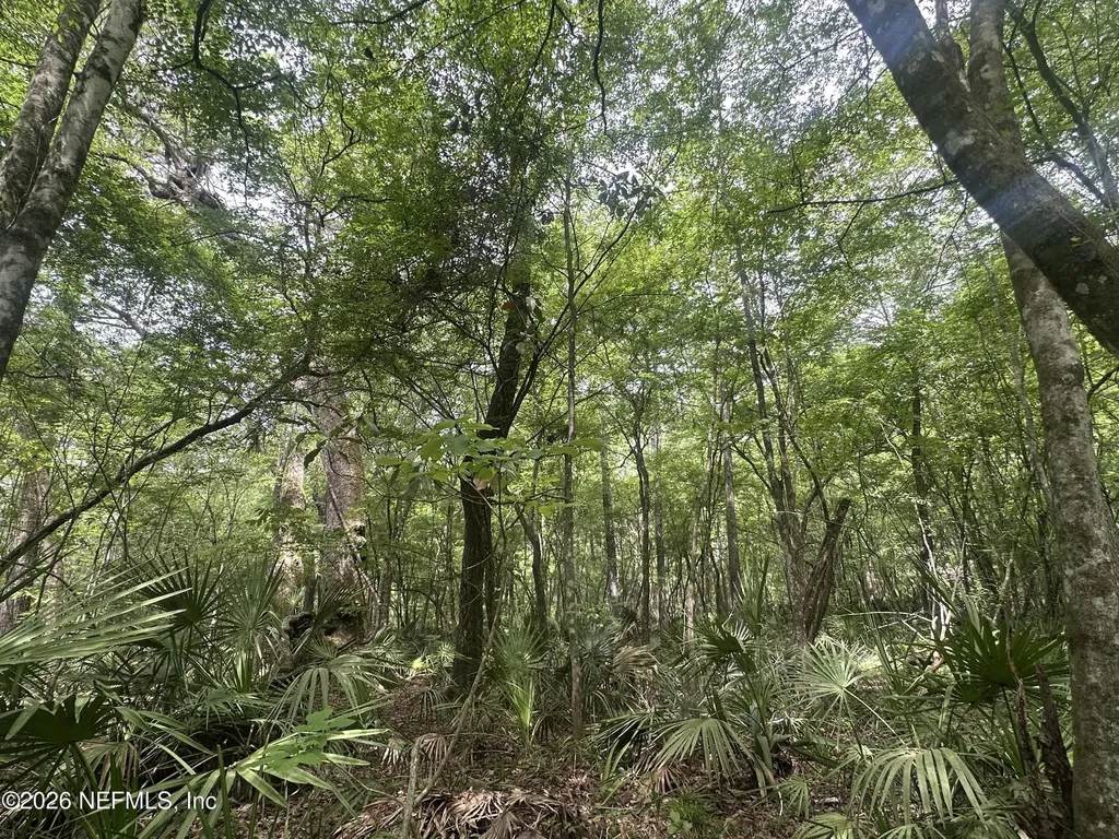 000 Black Creek Drive Middleburg FL 32068