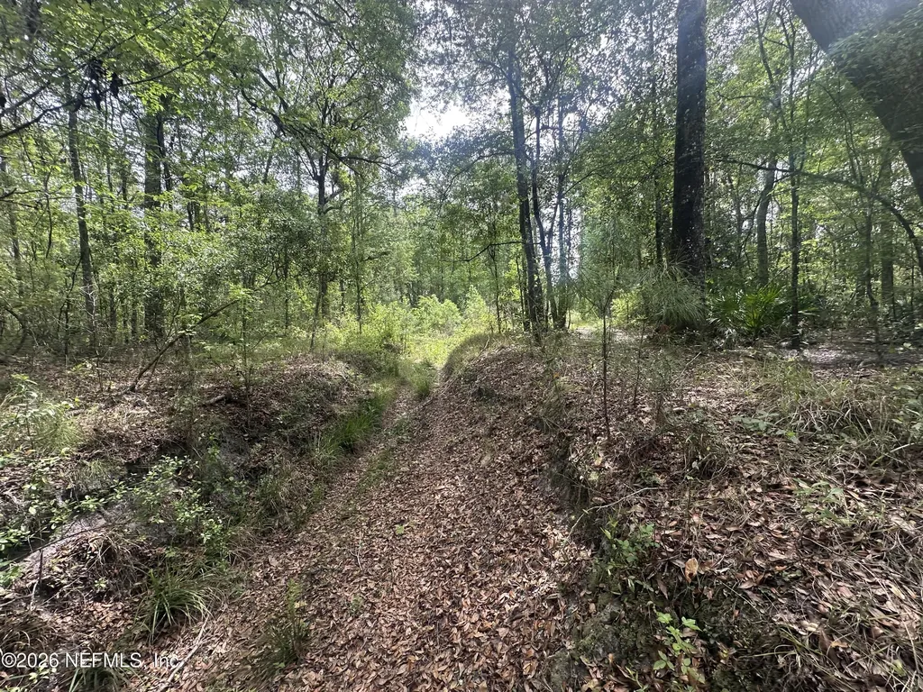 000 Black Creek Drive Middleburg FL 32068