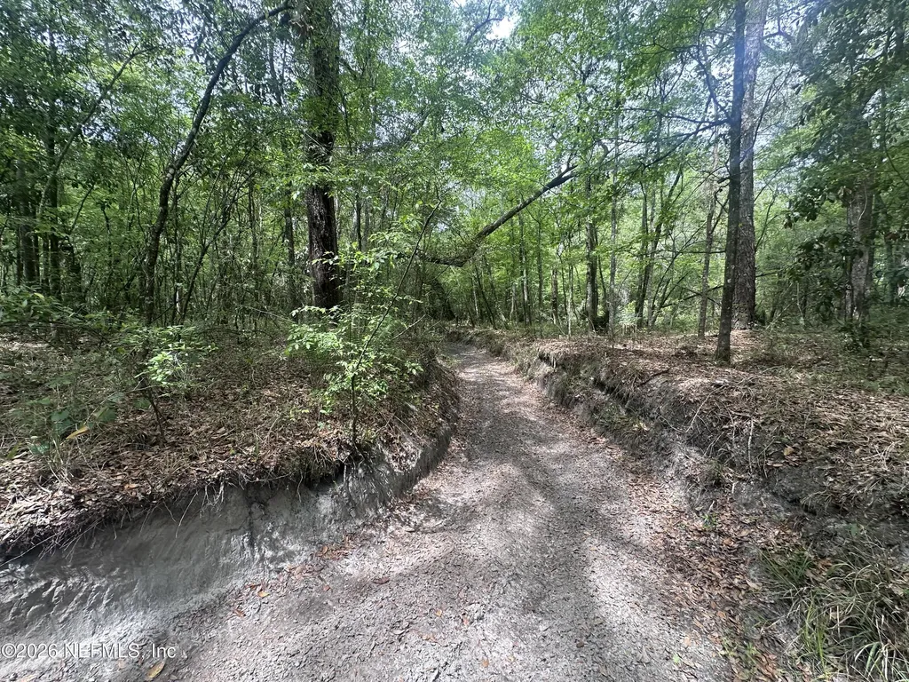 000 Black Creek Drive Middleburg FL 32068
