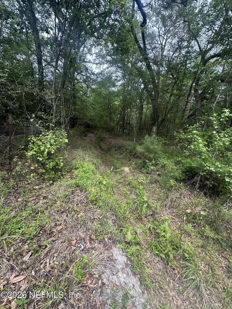 000 Black Creek Drive Middleburg FL 32068