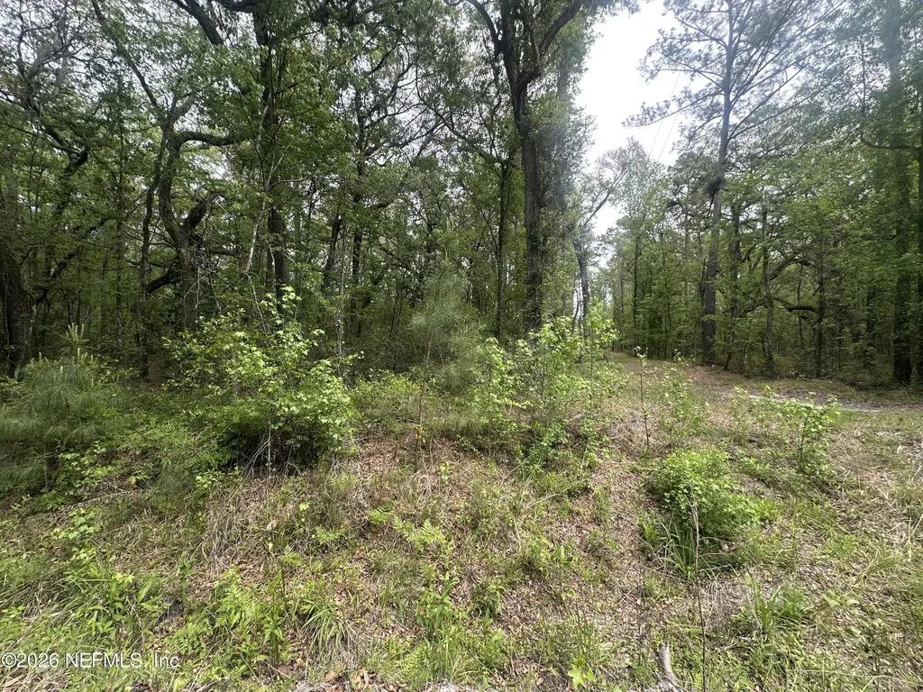 000 Black Creek Drive Middleburg FL 32068