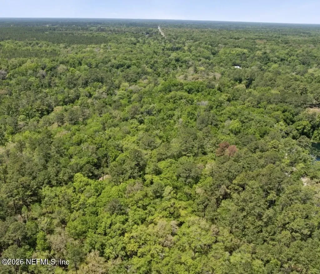 000 Black Creek Drive Middleburg FL 32068