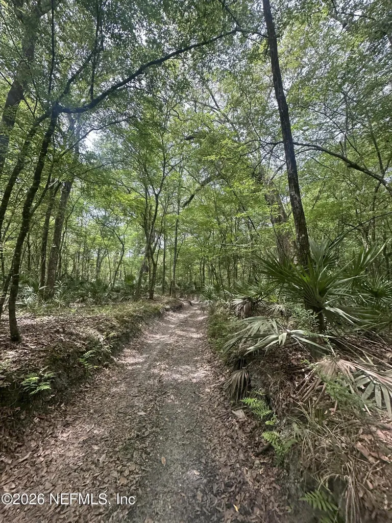 000 Black Creek Drive Middleburg FL 32068