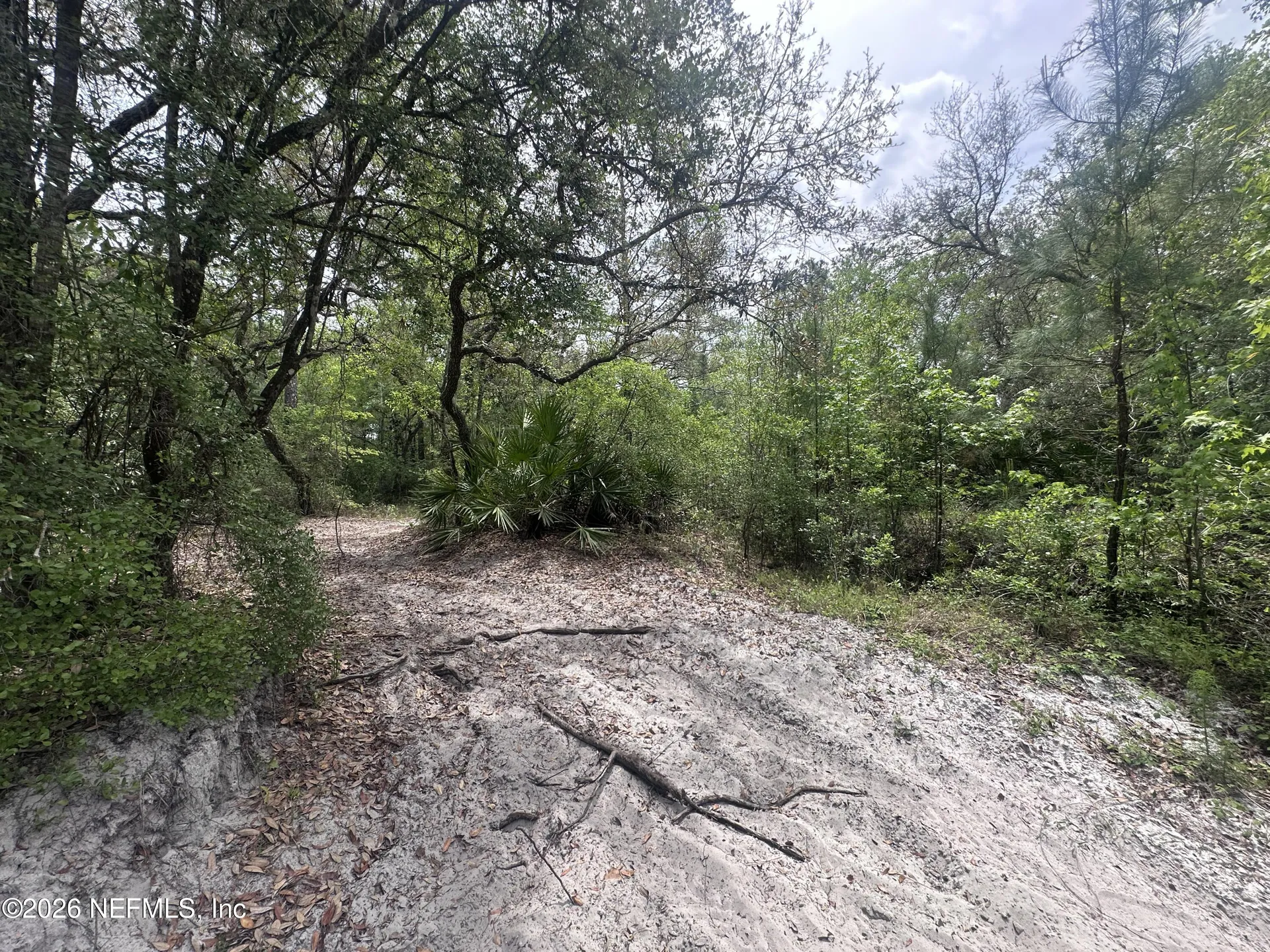 000 Black Creek Drive Middleburg FL 32068