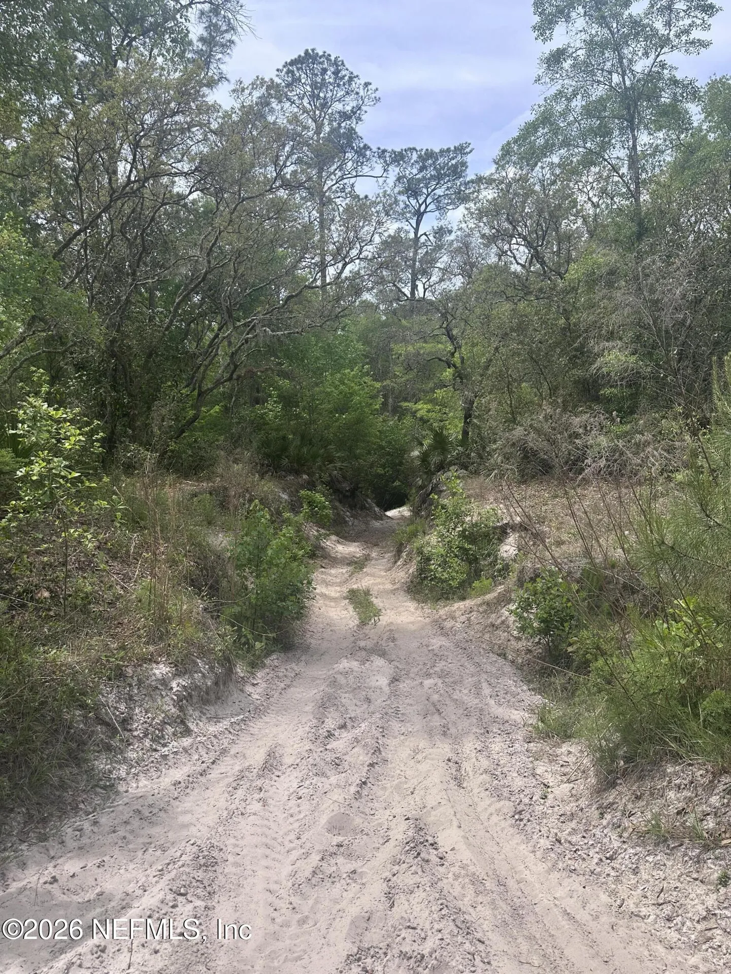 000 Black Creek Drive Middleburg FL 32068