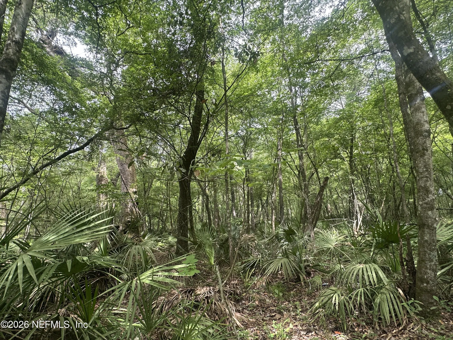 000 Black Creek Drive Middleburg FL 32068