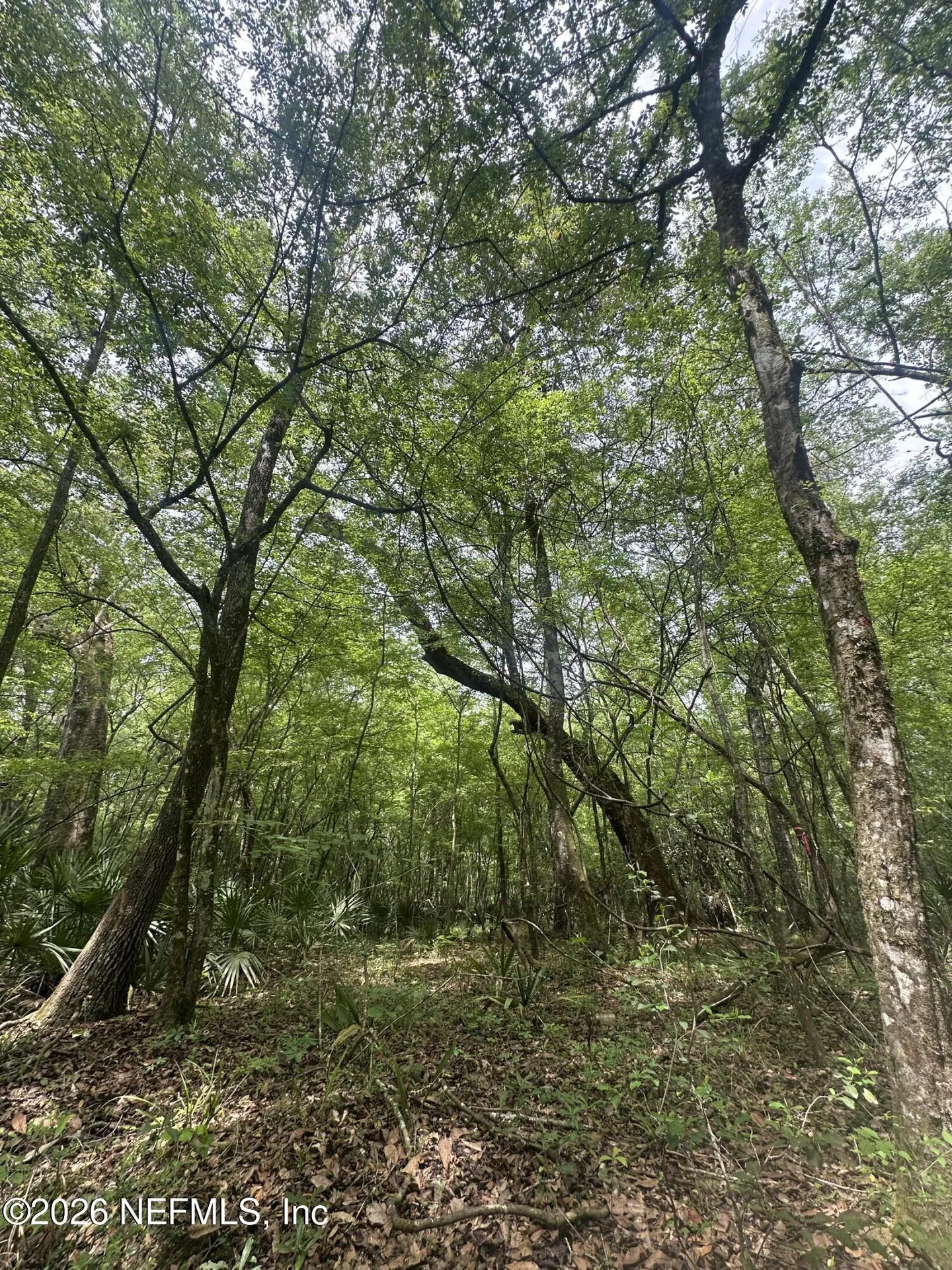000 Black Creek Drive Middleburg FL 32068