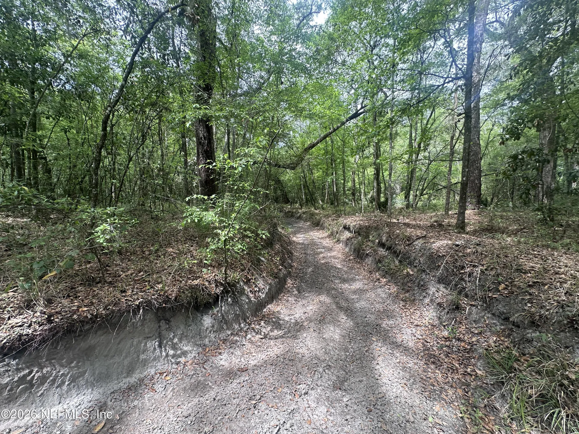 000 Black Creek Drive Middleburg FL 32068