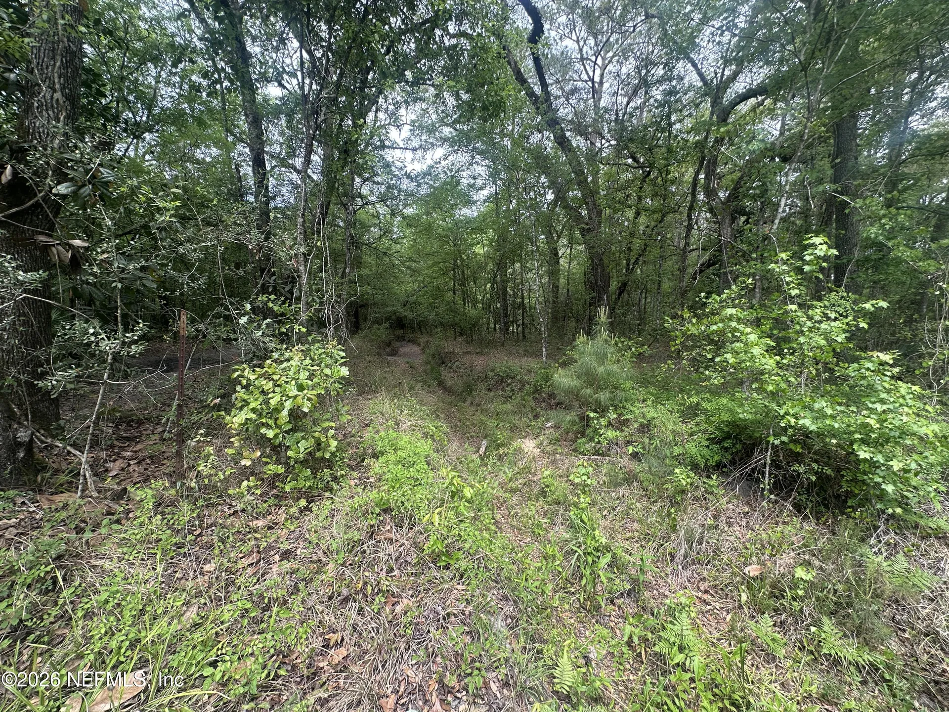 000 Black Creek Drive Middleburg FL 32068