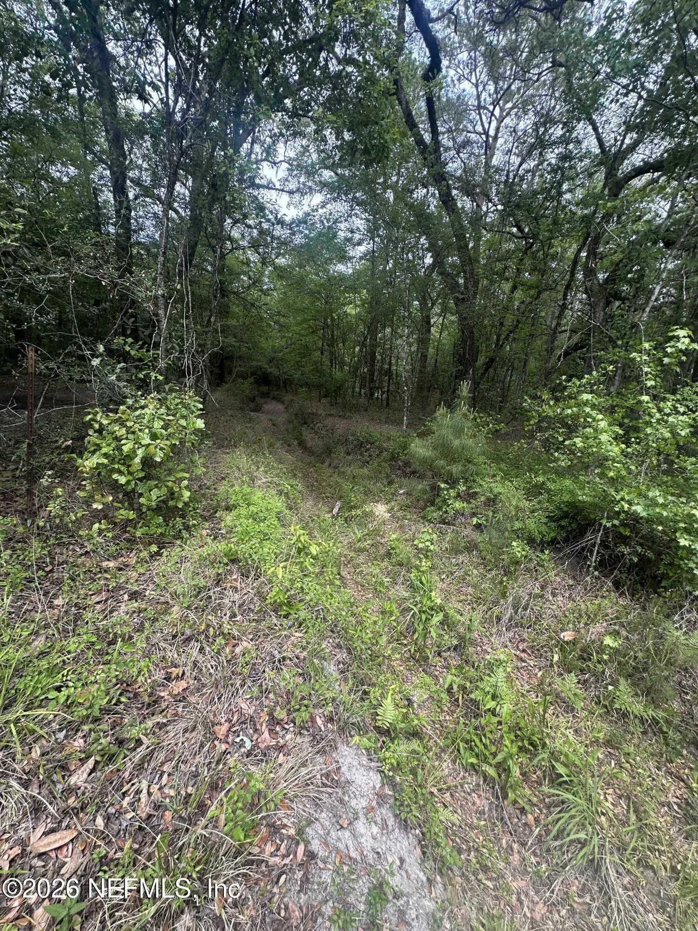 000 Black Creek Drive Middleburg FL 32068