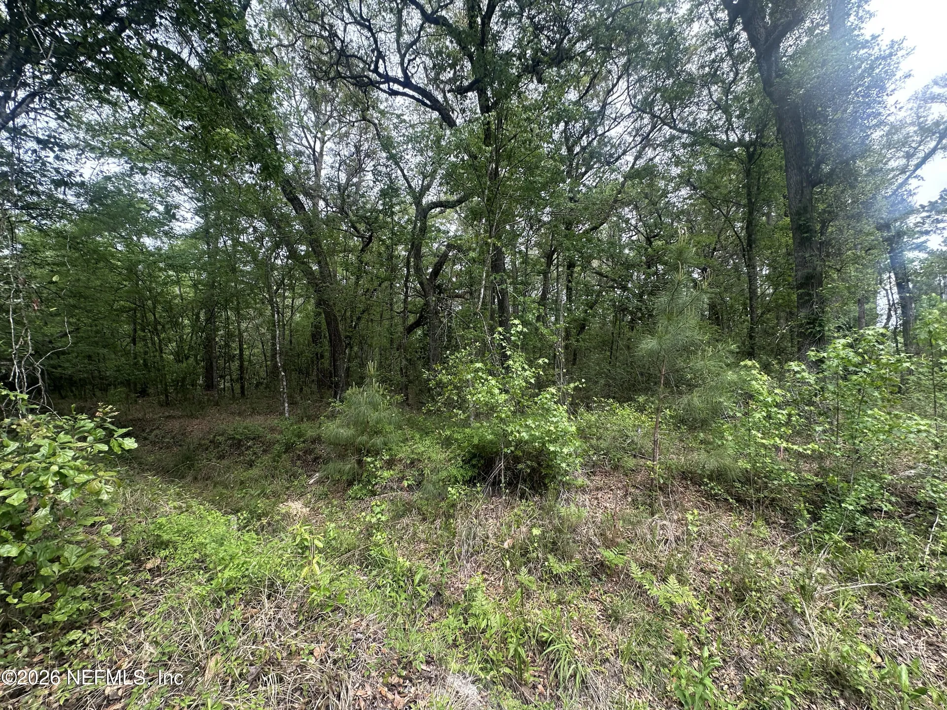 000 Black Creek Drive Middleburg FL 32068