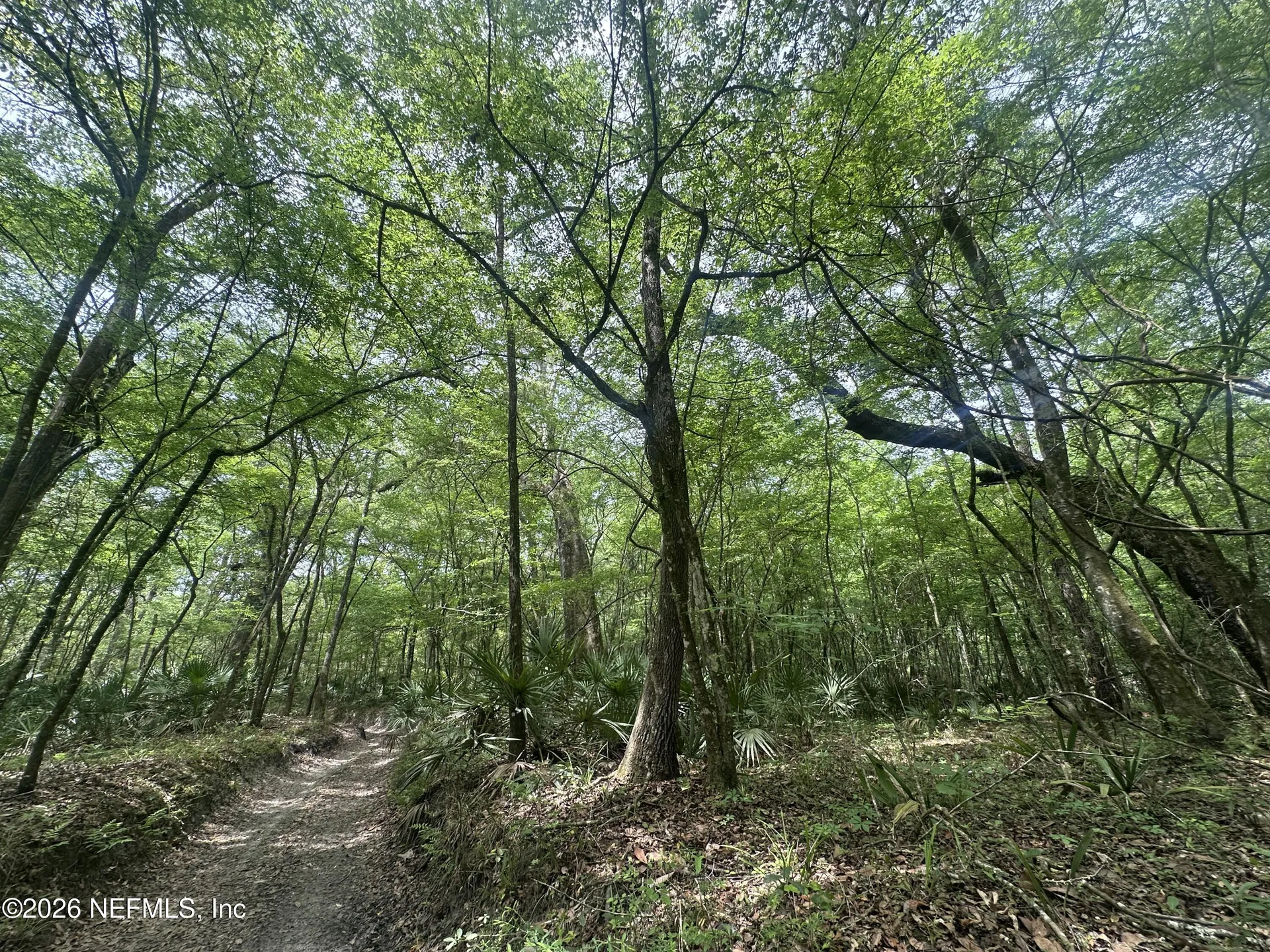 000 Black Creek Drive Middleburg FL 32068