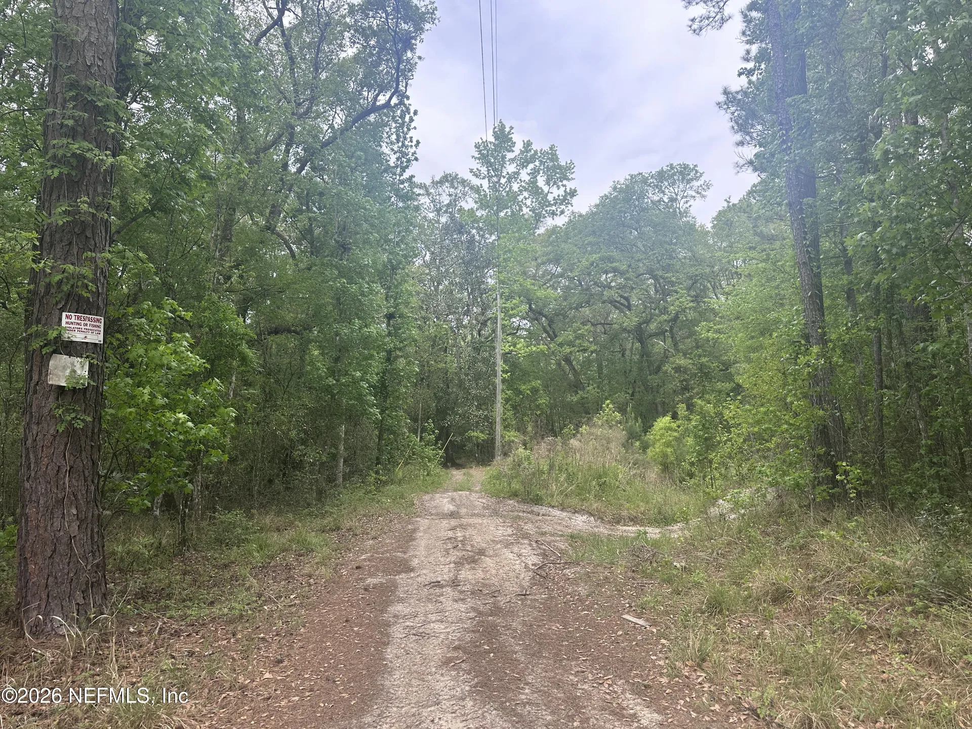 000 Black Creek Drive Middleburg FL 32068