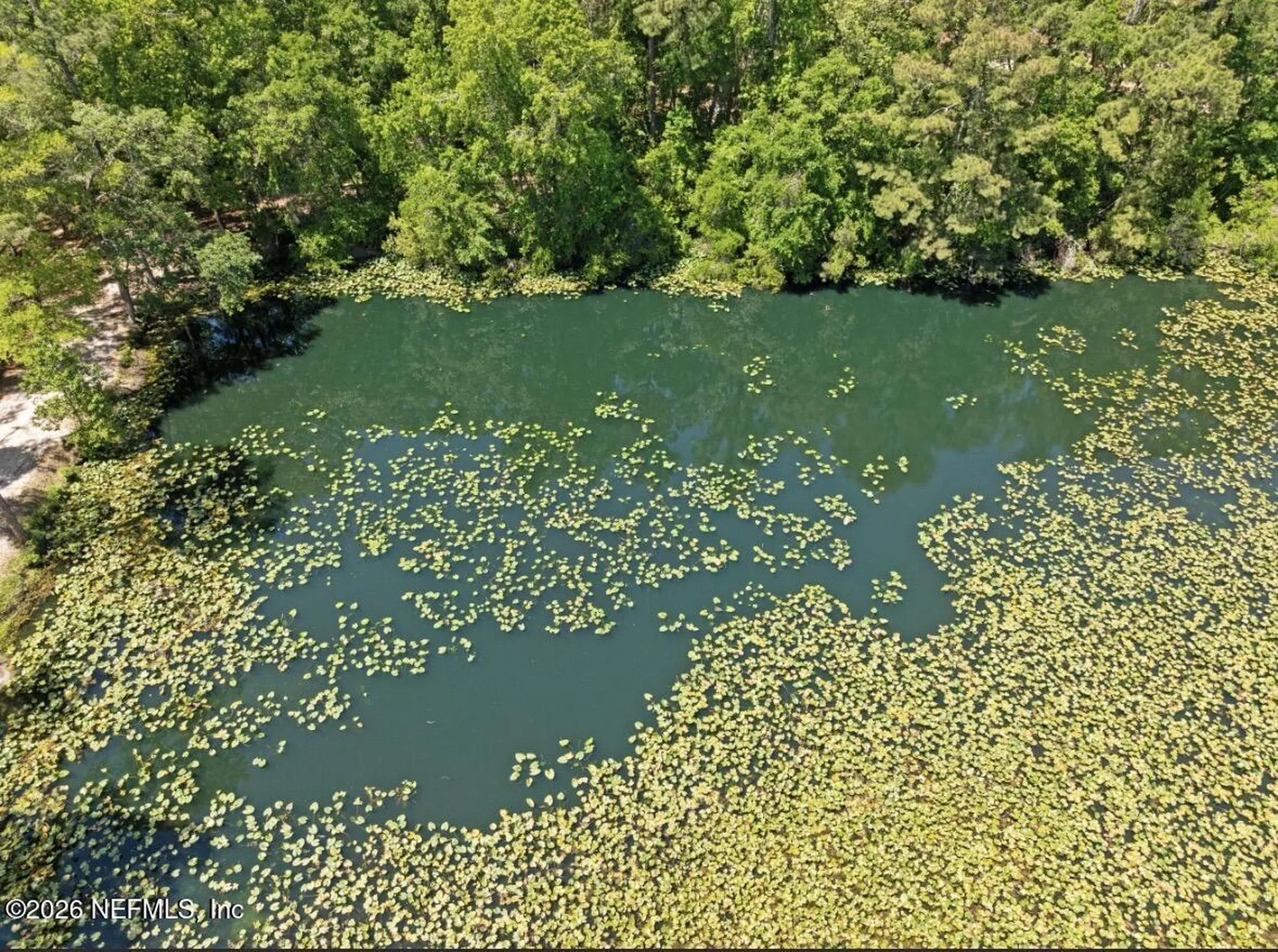 000 Black Creek Drive Middleburg FL 32068