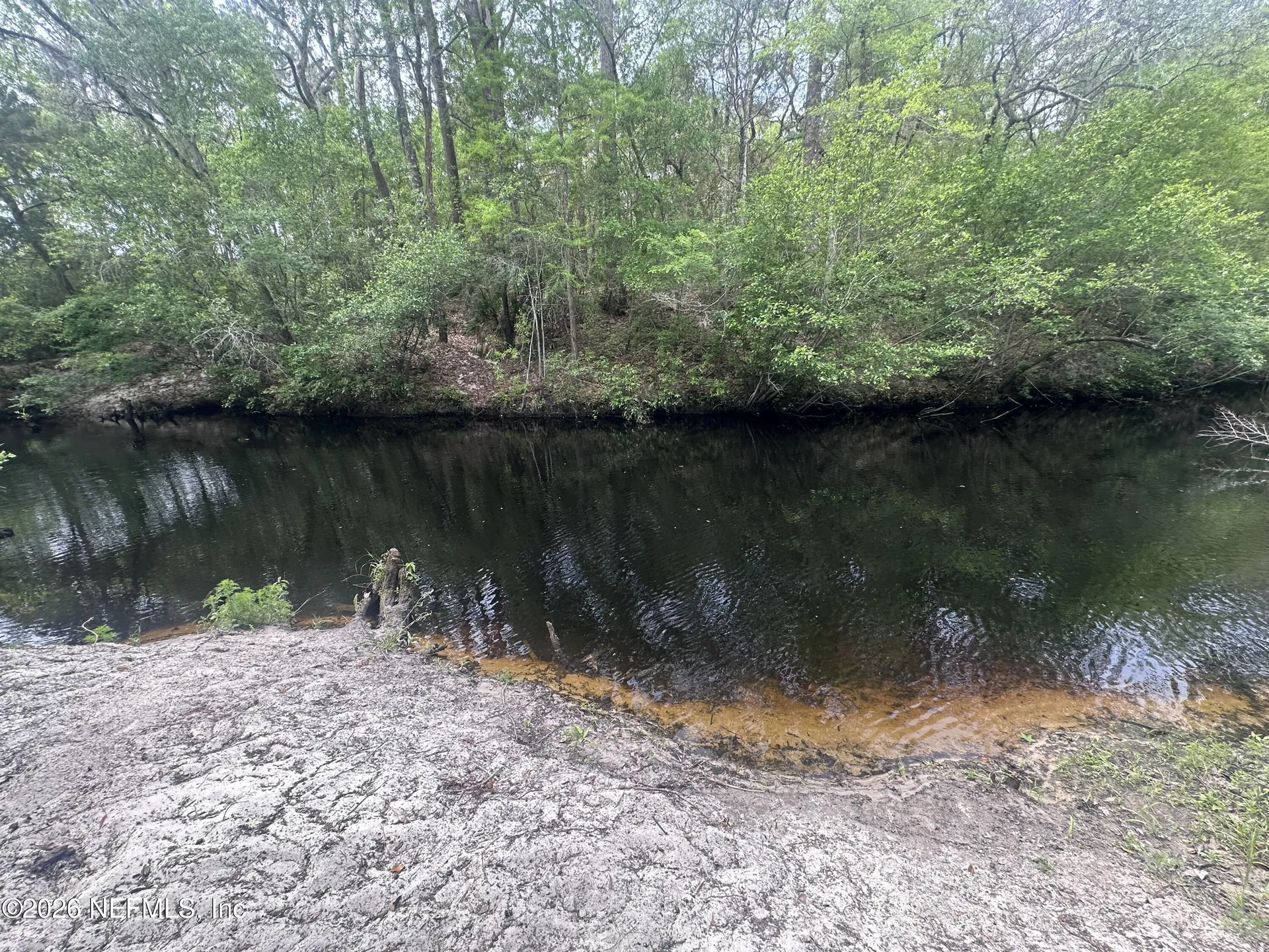 000 Black Creek Drive Middleburg FL 32068