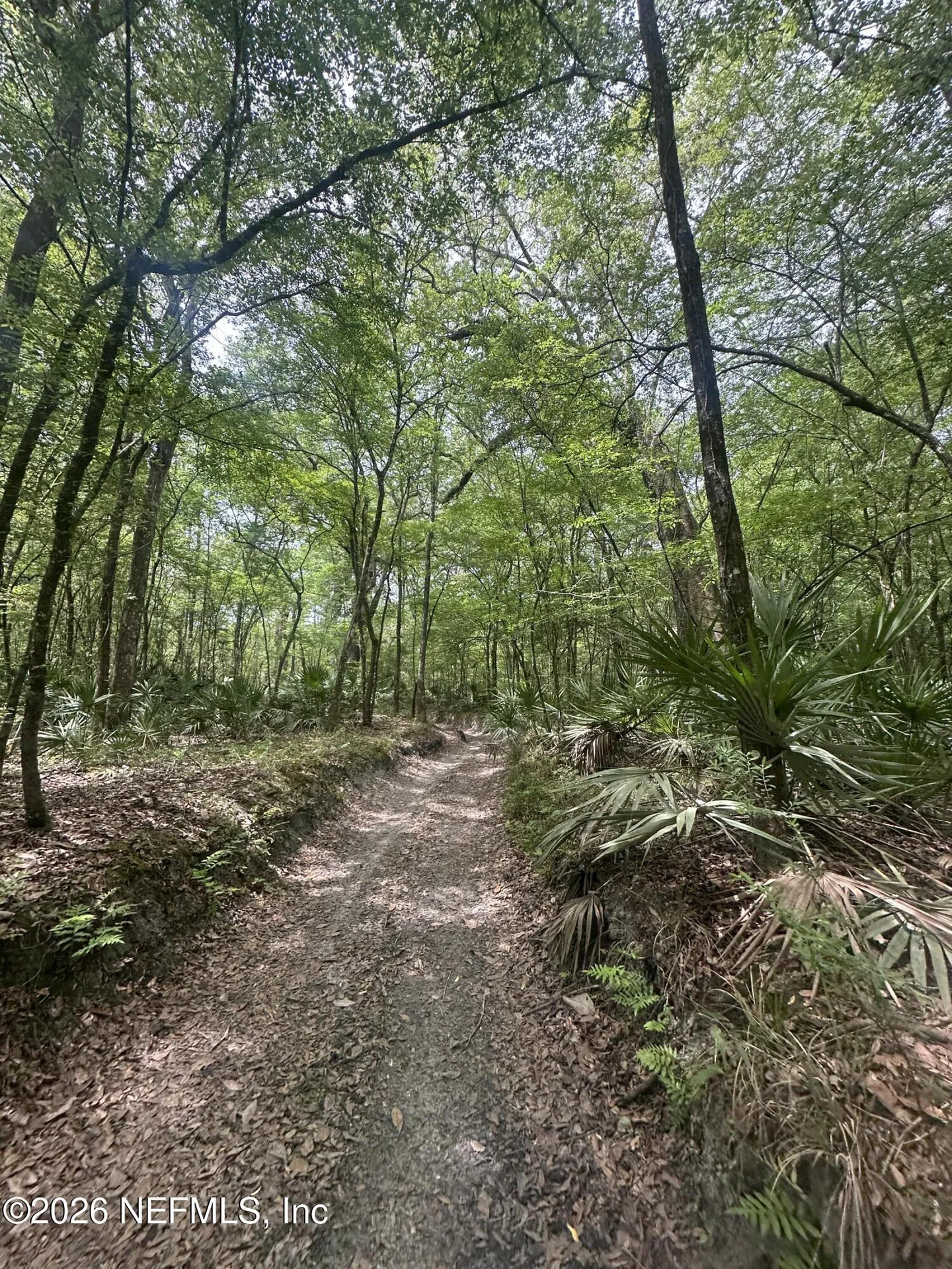 000 Black Creek Drive Middleburg FL 32068