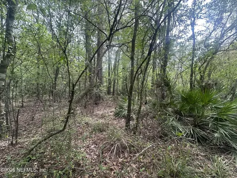000 Black Creek Drive Middleburg FL 32068