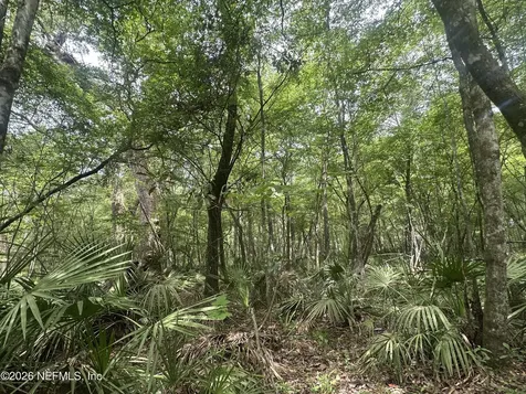 000 Black Creek Drive Middleburg FL 32068