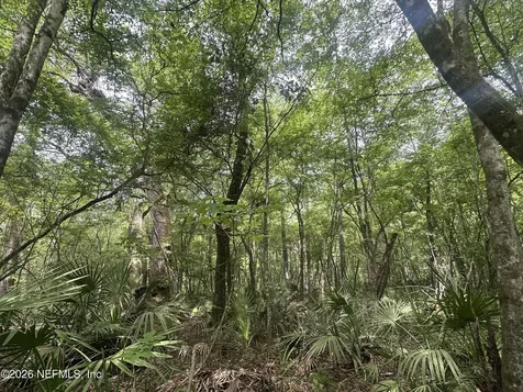 000 Black Creek Drive Middleburg FL 32068