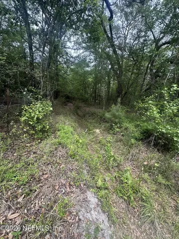 000 Black Creek Drive Middleburg FL 32068