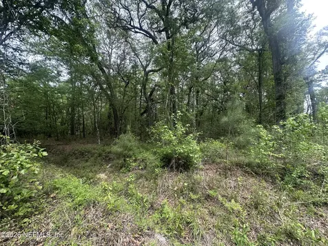 000 Black Creek Drive Middleburg FL 32068