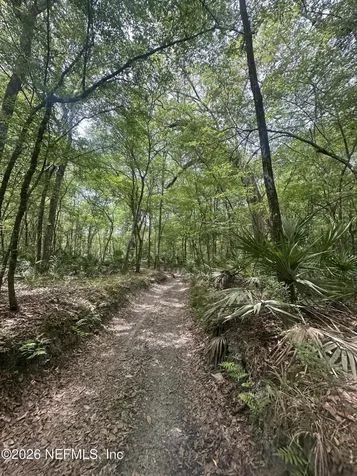 000 Black Creek Drive Middleburg FL 32068