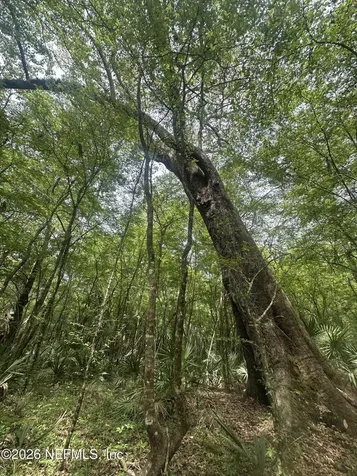 000 Black Creek Drive Middleburg FL 32068
