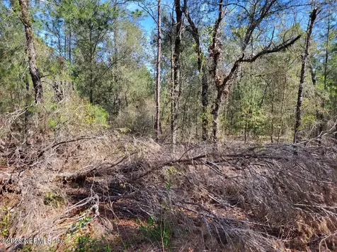 6040 Furman Avenue Keystone Heights FL 32656