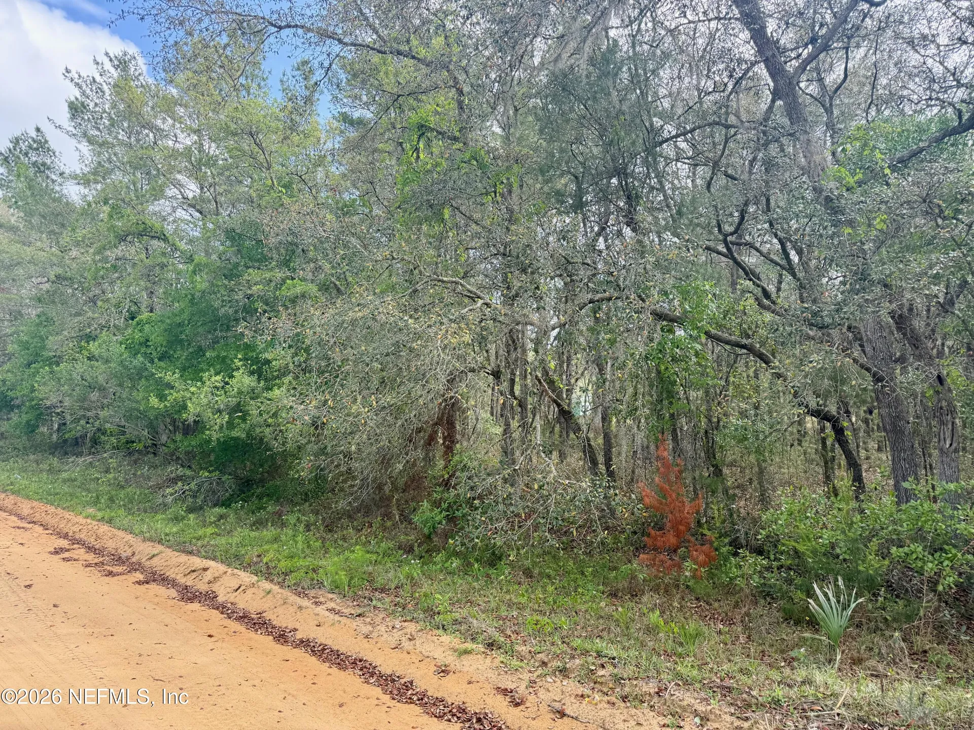 Xxx Neilsen Avenue Interlachen FL 32148