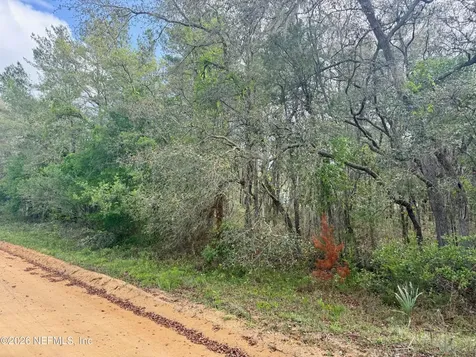 Xxx Neilsen Avenue Interlachen FL 32148
