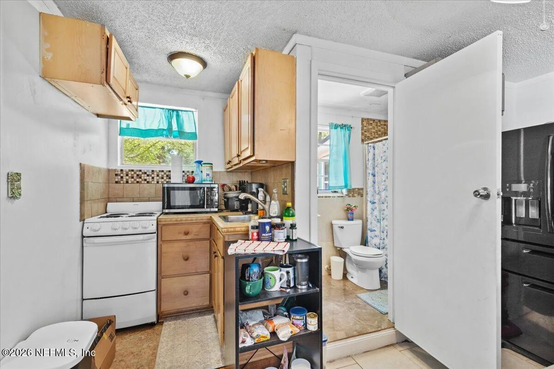 1863 Mauva Juan Avenue Jacksonville FL 32225