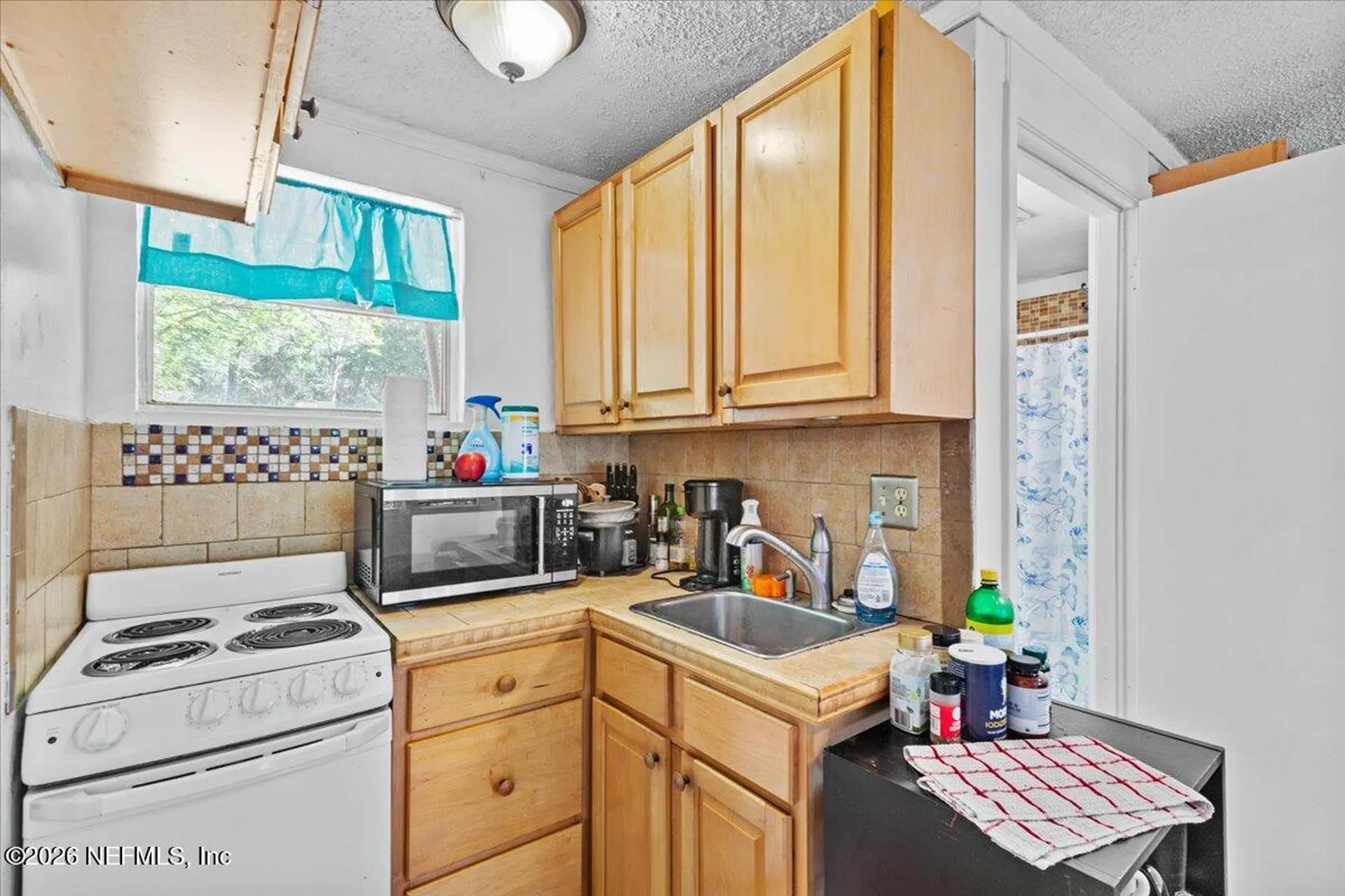 1863 Mauva Juan Avenue Jacksonville FL 32225