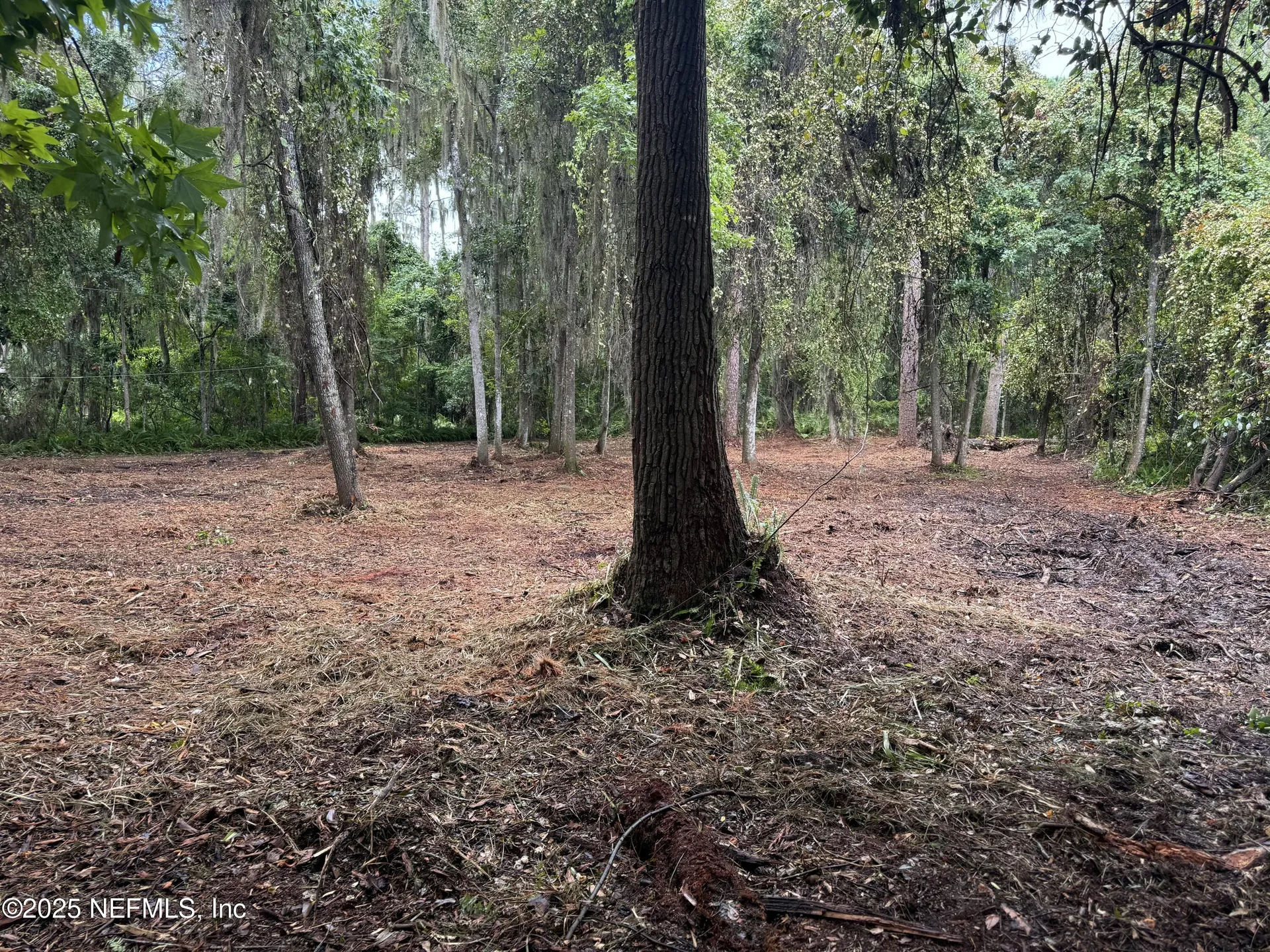 1404 S County Road 13 St. Augustine FL 32092