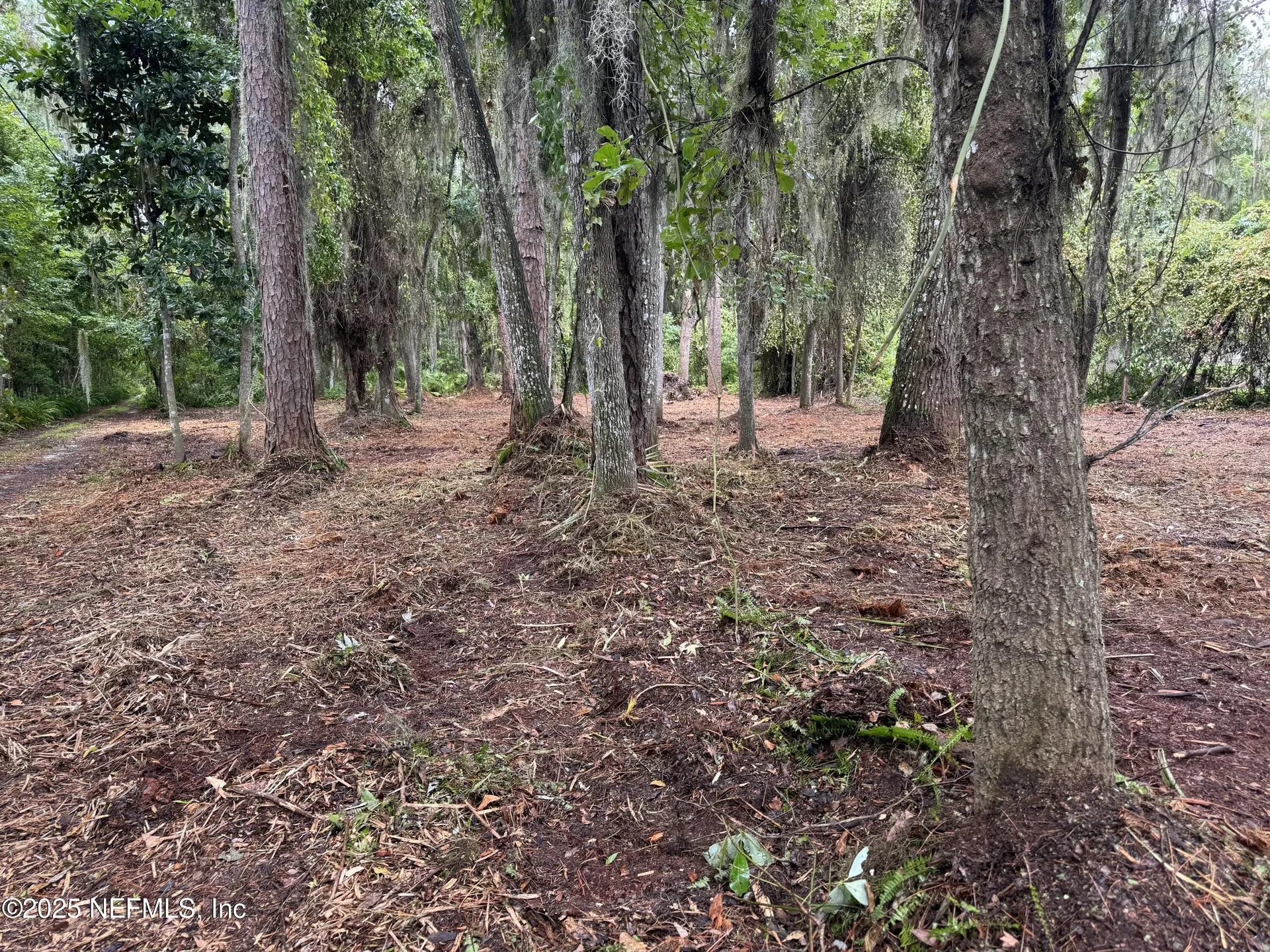 1404 S County Road 13 St. Augustine FL 32092