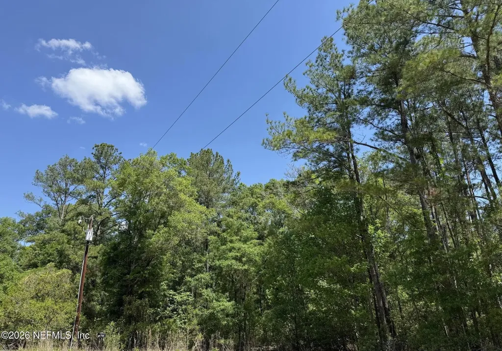 Tbd NE 20th Lane Lawtey FL 32058