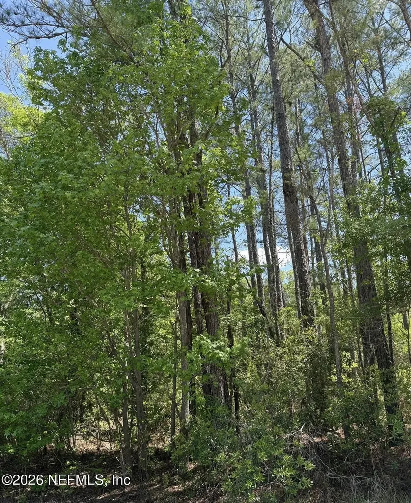 Tbd NE 20th Lane Lawtey FL 32058