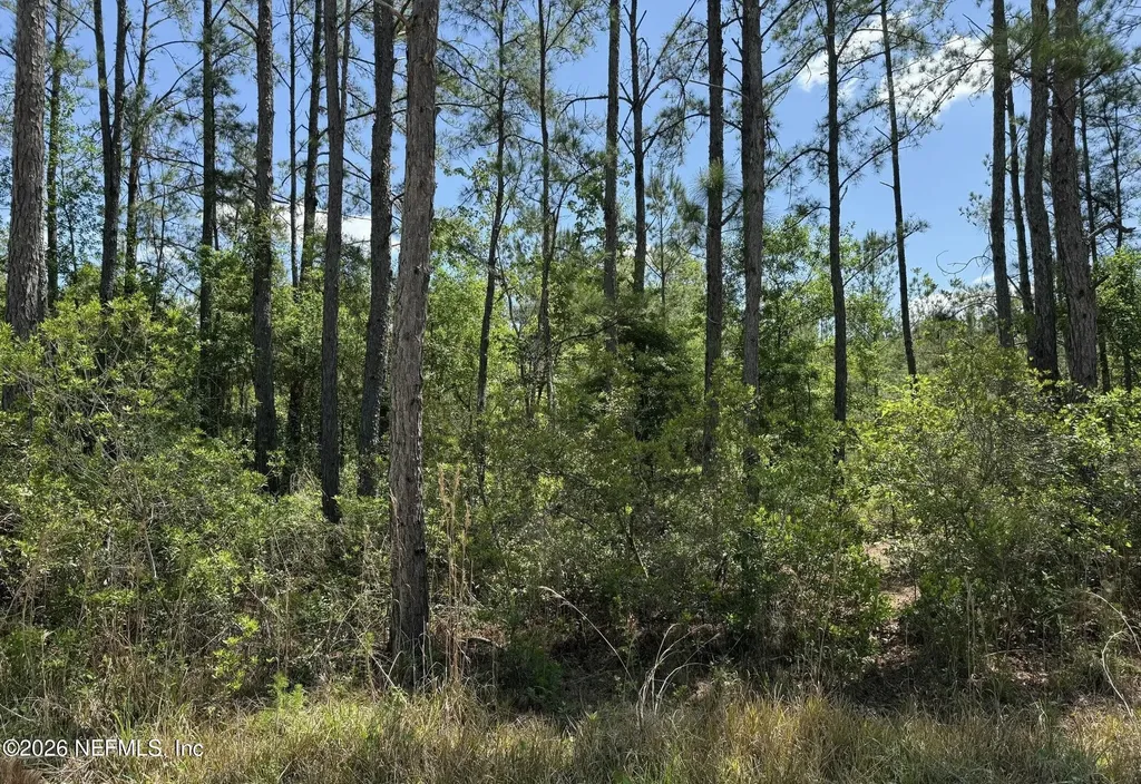 Tbd NE 20th Lane Lawtey FL 32058