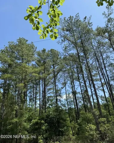Tbd NE 20th Lane Lawtey FL 32058