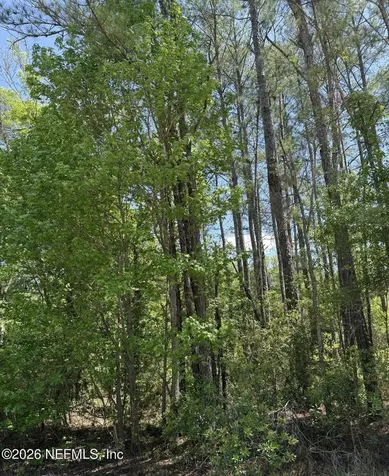 Tbd NE 20th Lane Lawtey FL 32058