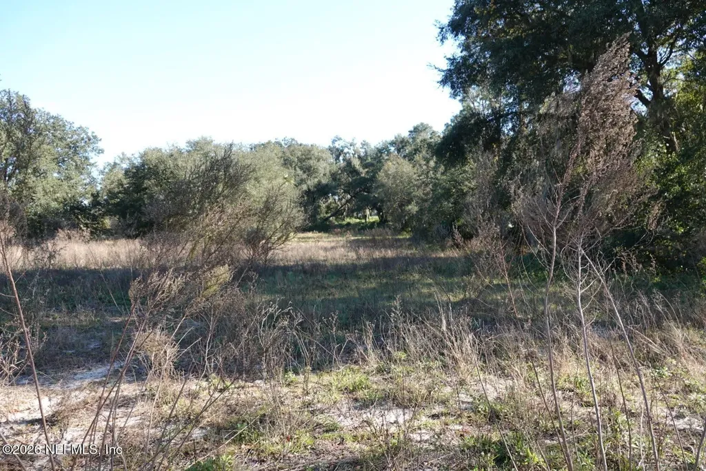 525 Raulerson Road Seville FL 32190