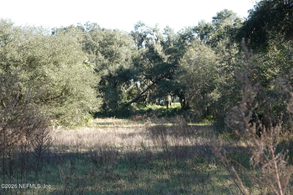 525 Raulerson Road Seville FL 32190