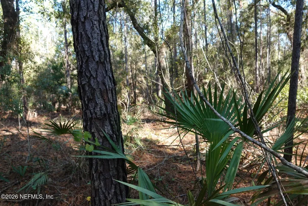 525 Raulerson Road Seville FL 32190
