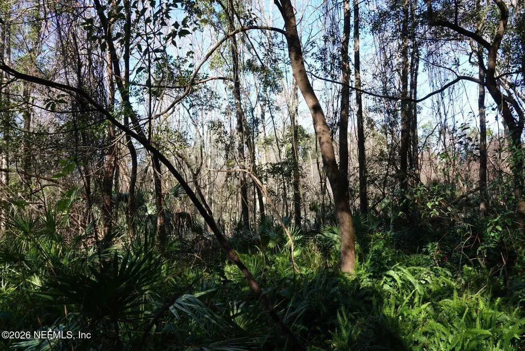 525 Raulerson Road Seville FL 32190