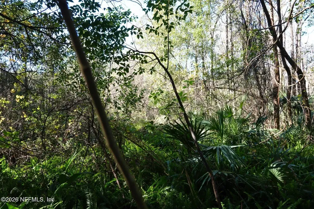 525 Raulerson Road Seville FL 32190
