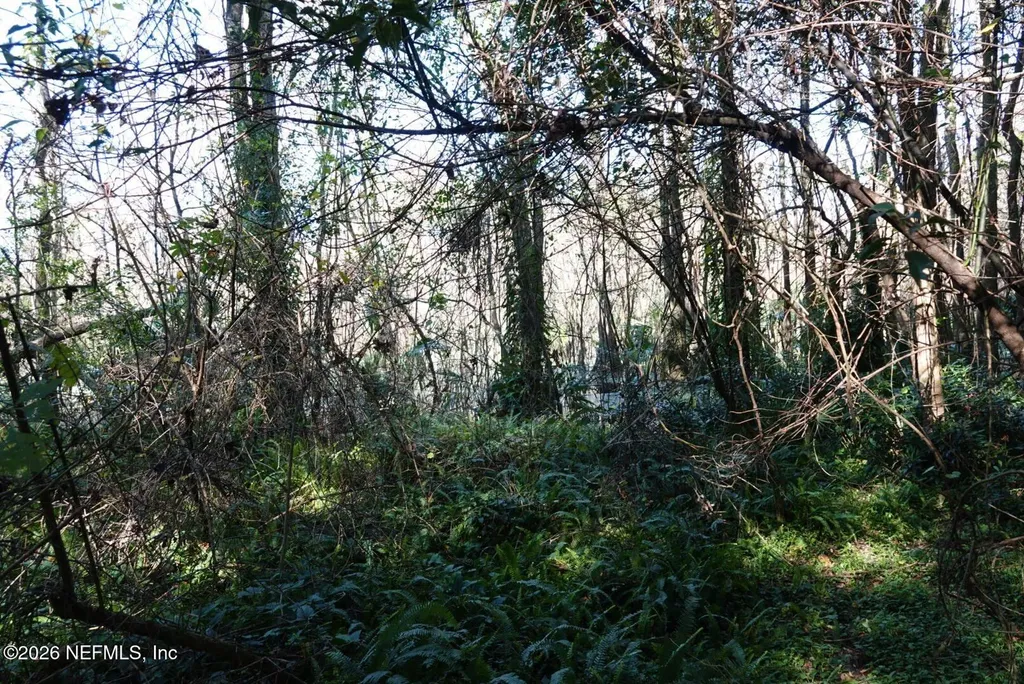 525 Raulerson Road Seville FL 32190