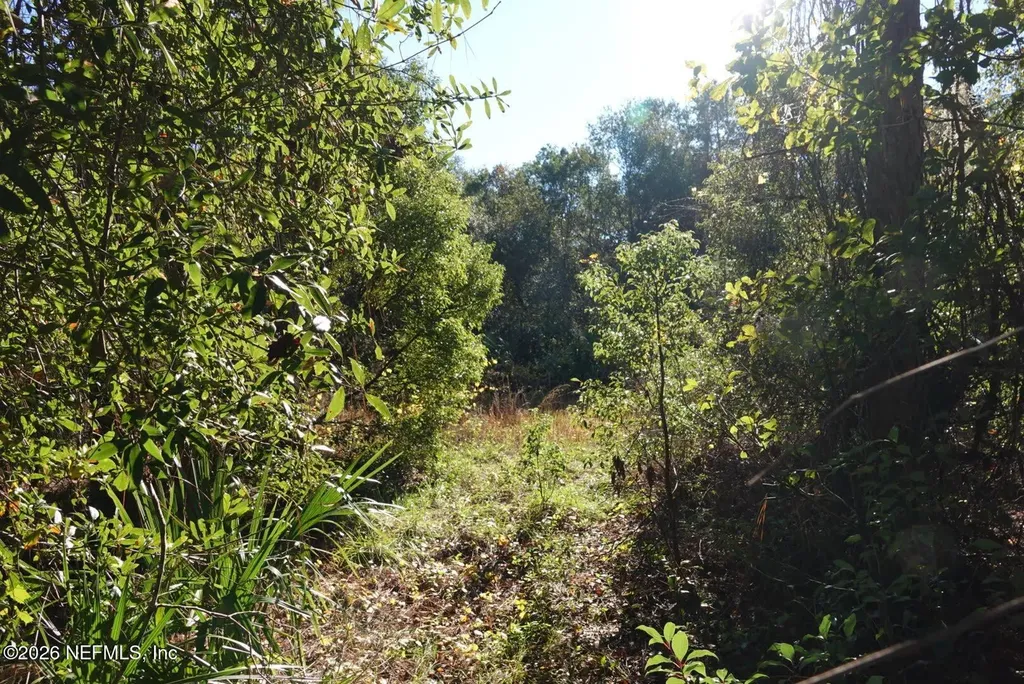 525 Raulerson Road Seville FL 32190